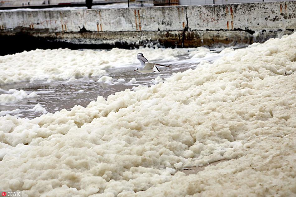 香港展出超过60件毕加索作品截图3