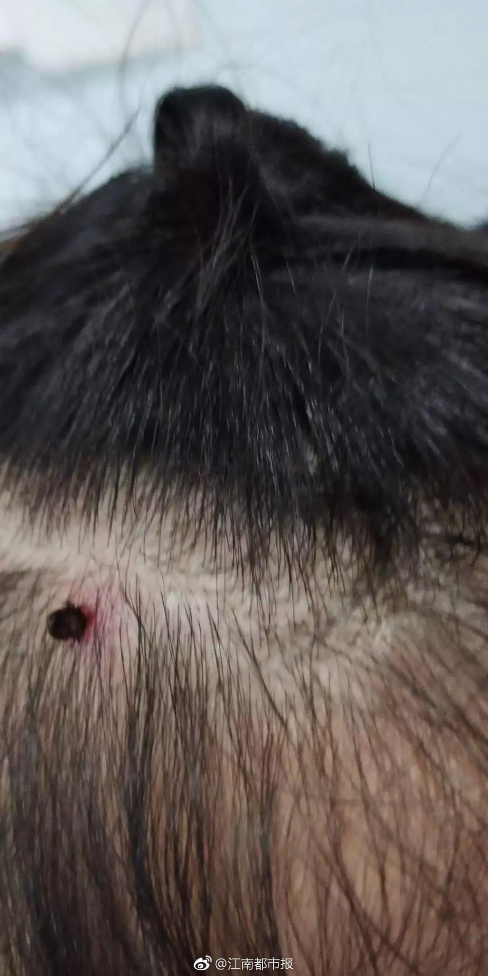 人在神诡，从折纸秘典开始长生