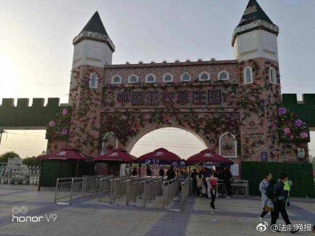 穿成美强惨女配后，我好事做尽