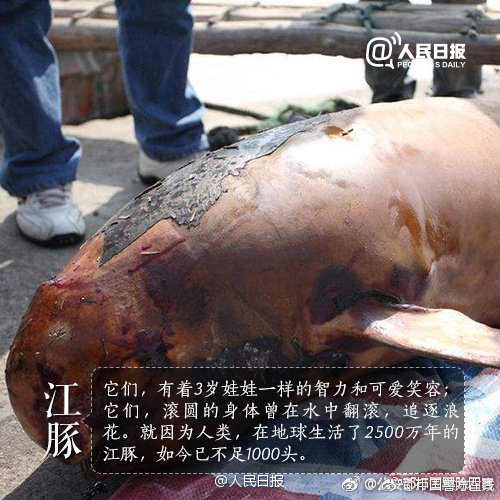 第二次青藏科学考察发布十大应用成果截图4