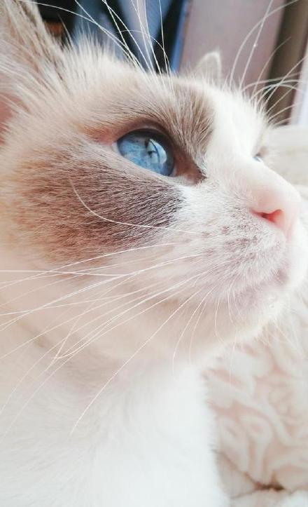 一系列新政策将给我们的生活带来哪些新变化？这里有一份实用且富有创意的指南。截图3