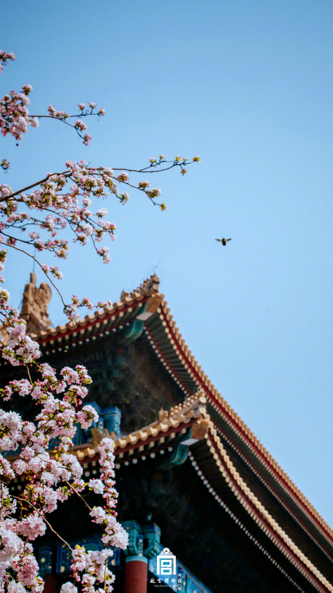 无锡、重庆：美丽乡村赢得游客截图1