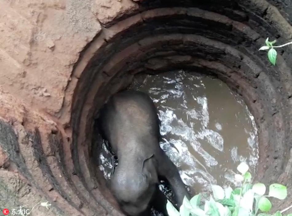 故宫博物院文物藏品清单截图1