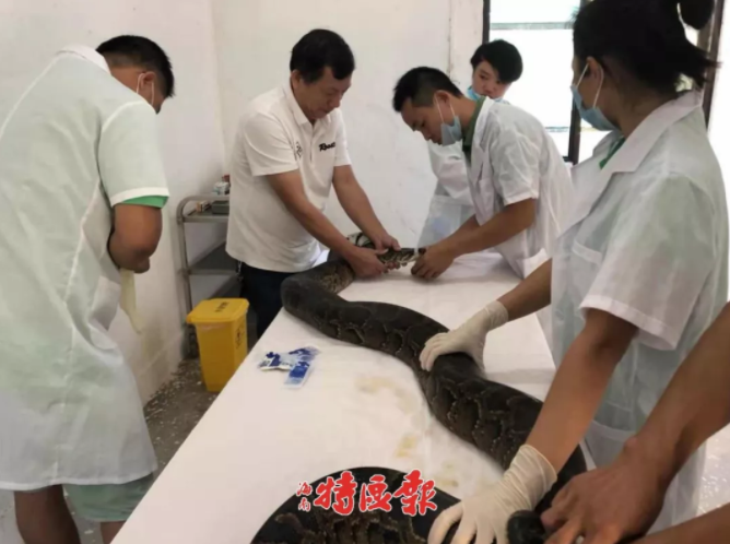 分手后，开启完美人生