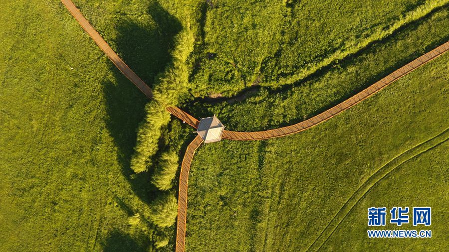 著名导演翟俊杰逝世。他的代表作包括《台儿庄之战》。截图4