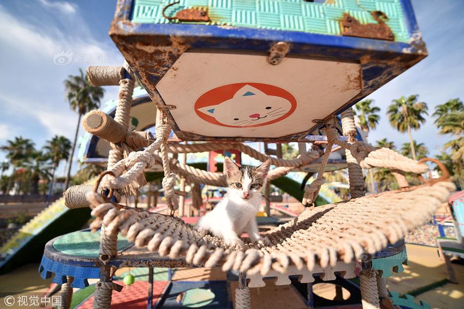 无锡、重庆：美丽乡村赢得游客截图3