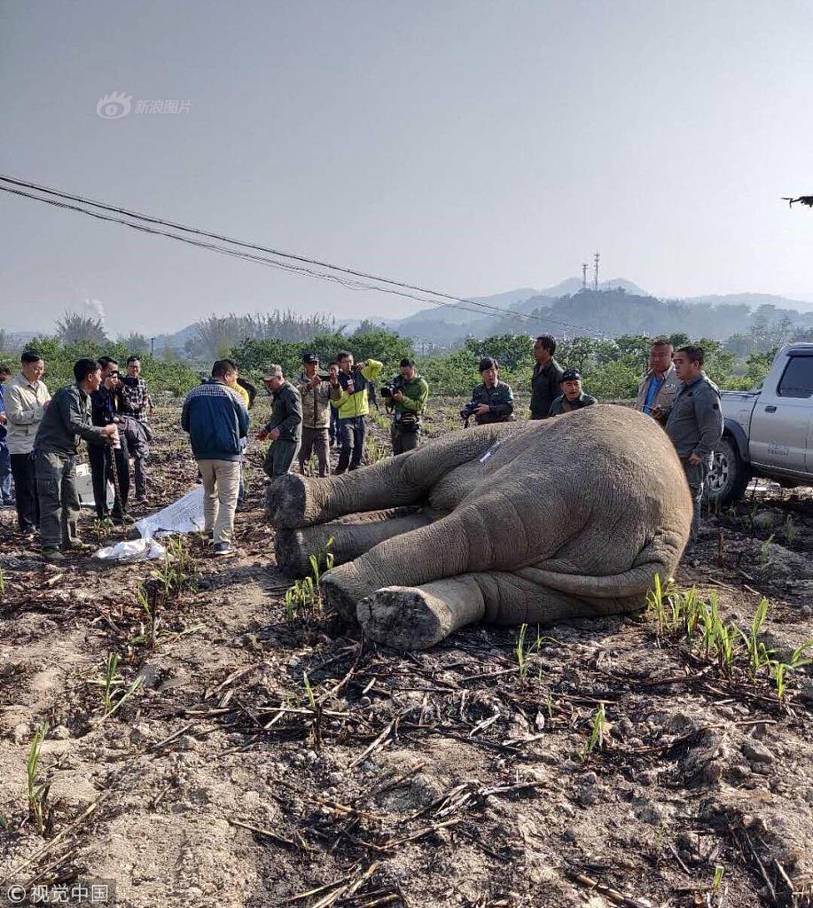 让文学拥抱现实生活截图0