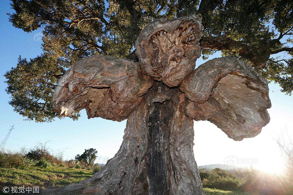 《读者建议与共同关切：打造开放创新型报纸管理的新品牌》已出版发行截图2