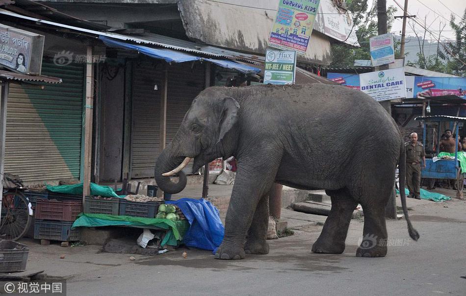 《读者建议与共同关切：打造开放创新型报纸管理的新品牌》已出版发行截图4