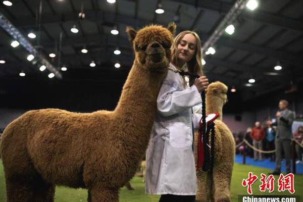 “工作伙伴”升级啦！看看广东智能眼镜如何“玩转”纳米世界。截图4