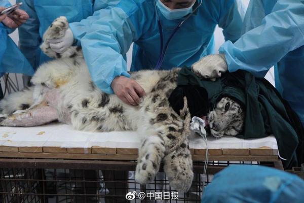 无惧销售逆风？特斯拉“死忠粉”：中国市场增长再现，这才是关键！