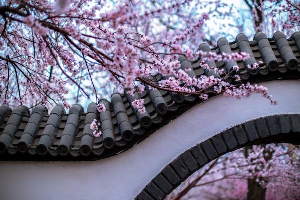 抗旱、灌溉保护和粮食储存保护截图1