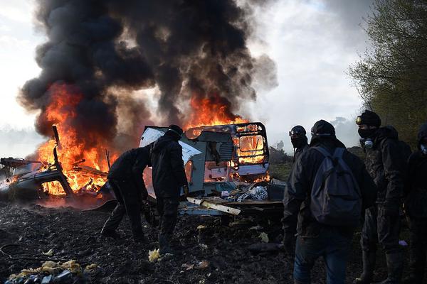 消失30年后，“中国豹”重现江湖，其栖息地距离北京仅160公里。截图4
