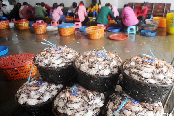 德国武器出口创下新纪录截图0