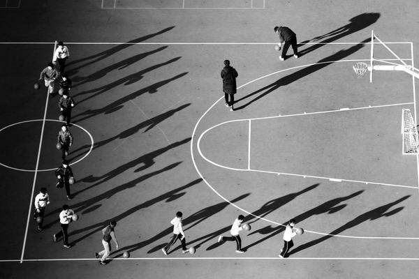 消失30年后，“中国豹”重现江湖，其栖息地距离北京仅160公里。截图0