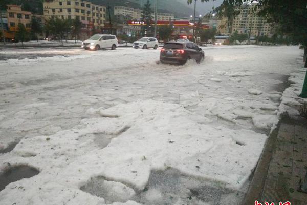 中尼“珠峰友谊-2025”联合军事训练演习将在尼泊尔举行。截图2