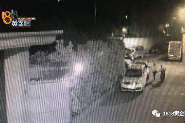 清明节假期201万人次进出澳门截图1