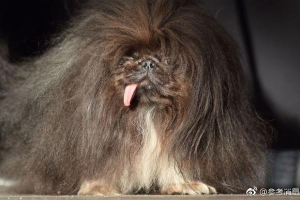 吸引人气，将网络红人打造成长期明星（新视野：培育服务消费新增长点）截图4