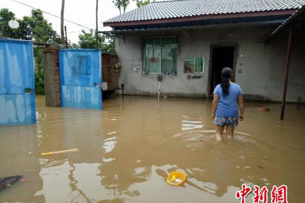 2025年第二季度货币政策执行报告专栏 | ④金融支持促消费要关注改善高品质服务供给