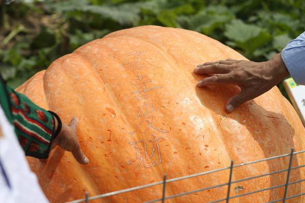 原中共邵阳市委常委、原邵阳市人民政府副市长邱克京已被开除党籍、免职。截图4