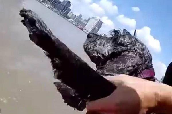 我在克苏鲁世界肝经验