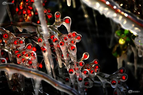 夏粮小麦收购量超1700万吨截图4