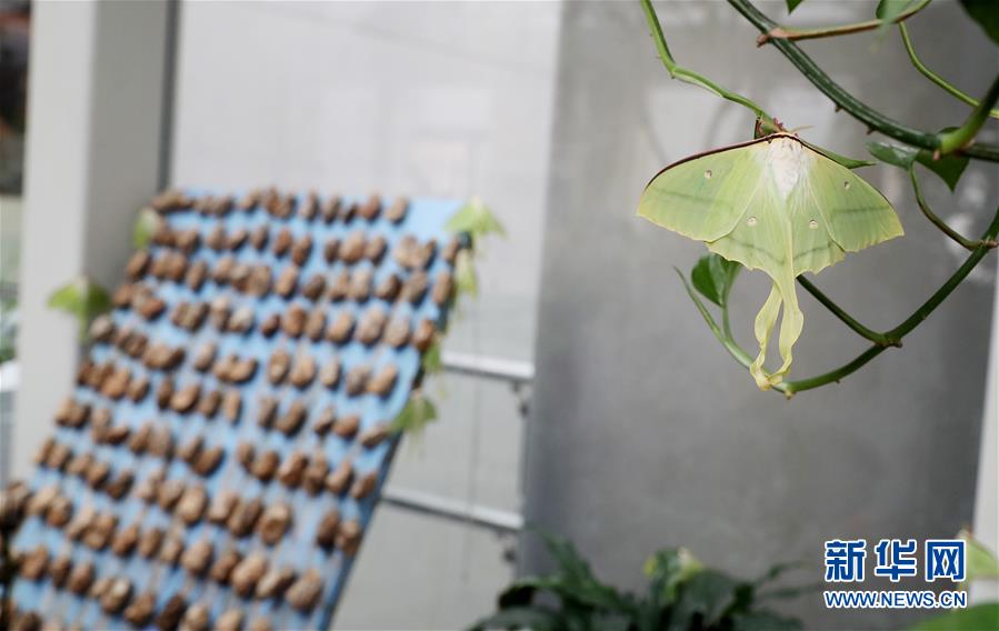 广东出台23条举措加快入境游发展截图2