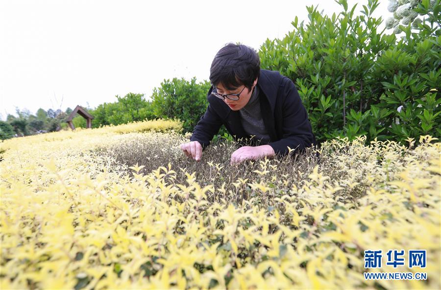 港股博彩股午后持续走高 银河娱乐涨超5% 汇丰预计8月澳门赌收最多升15%