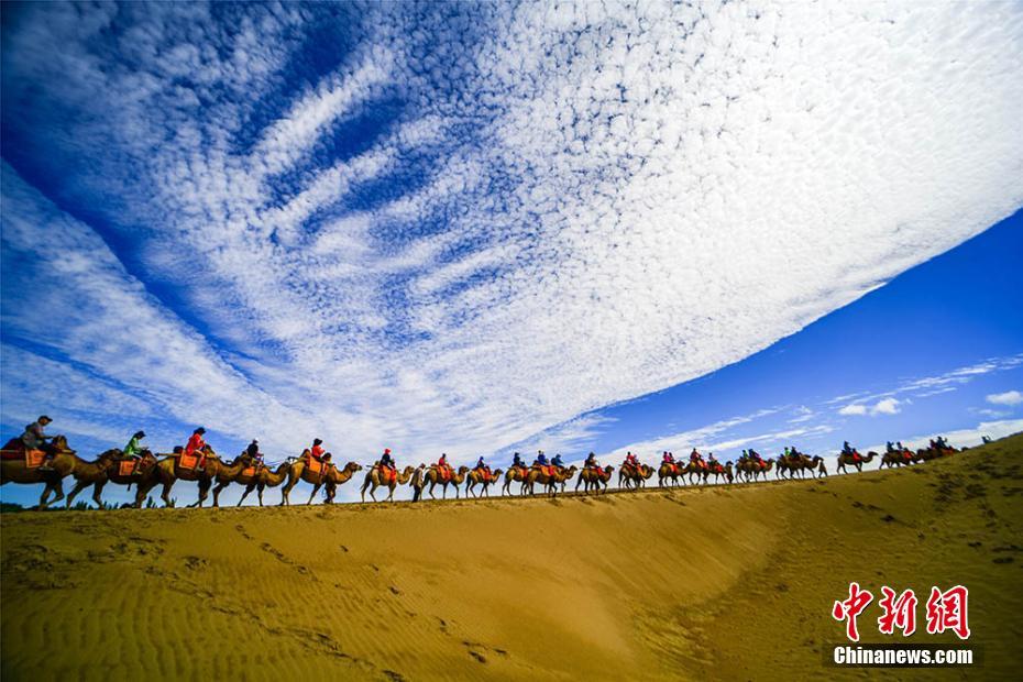 云南金融监管局核准施乐上海浦东发展银行昆明分行行长任职资格