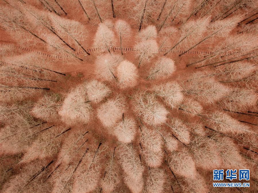 有网友举报智兰实验学校的筹款活动存在违规行为。常德市教育局回应称：将追究学校相关责任人的责任。截图1