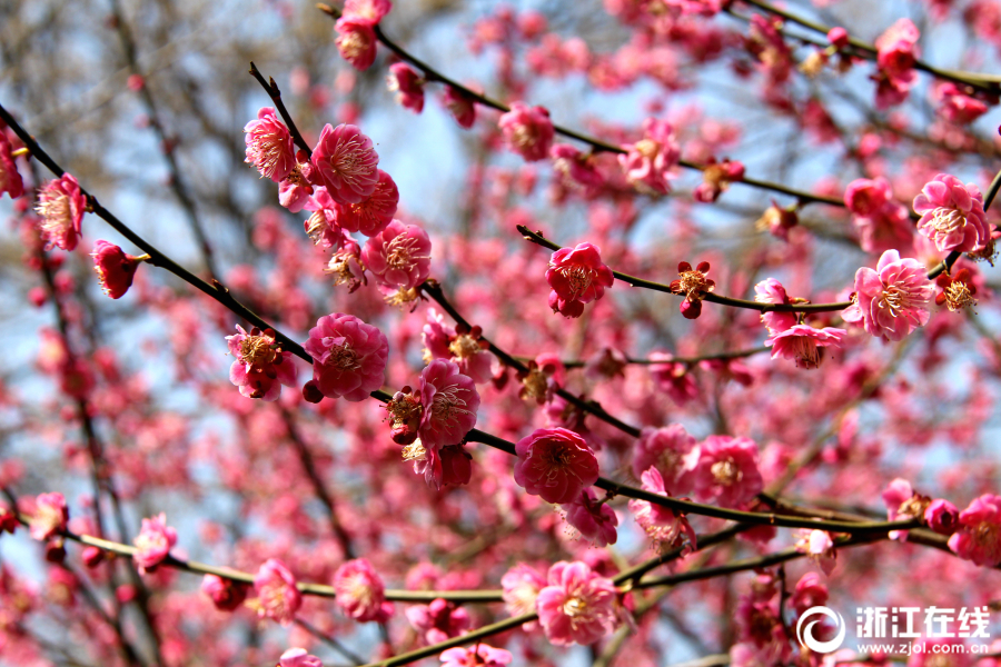 德国武器出口创下新纪录截图2